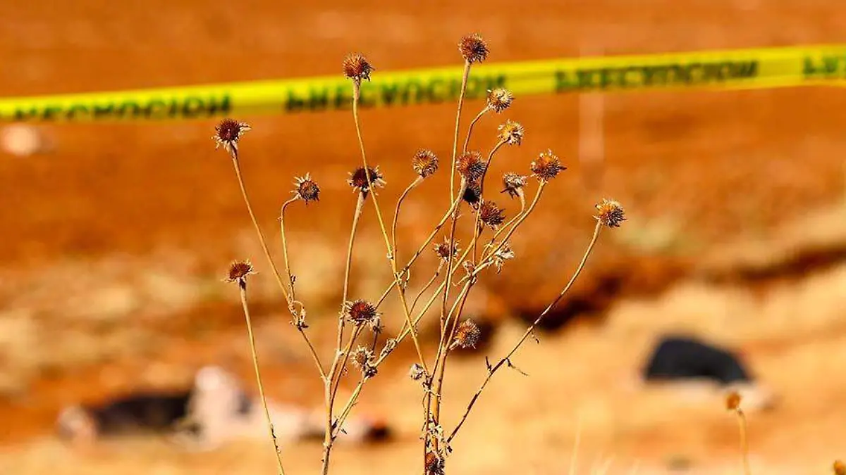 Cuerpos hallados en la comunidad Noria de Gringos, Morelos, Zacatecas